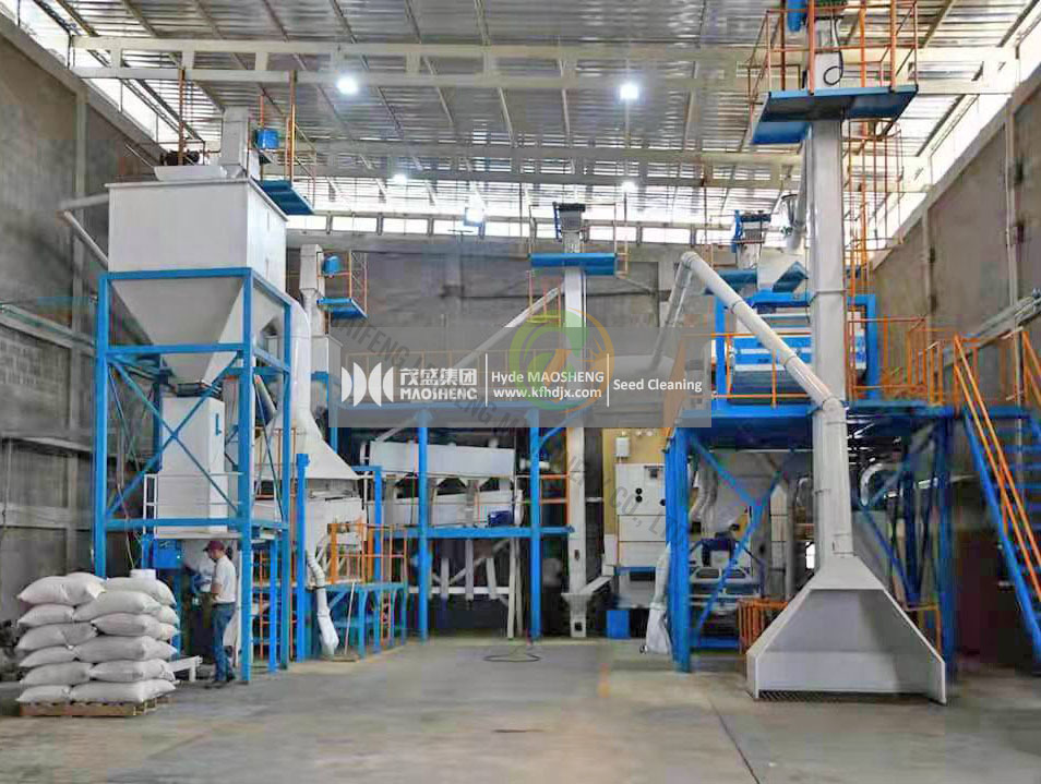 Complete Set of Cereal Grain Seed Cleaning Processing Plant Sesame Seed Cleaning Machine