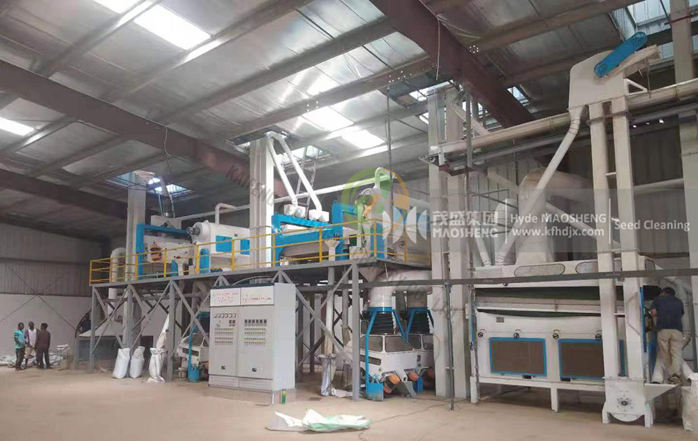 Complete Set of Cereal Grain Seed Cleaning Processing Plant Sesame Seed Cleaning Machine