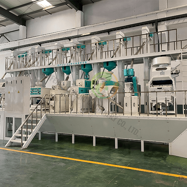 Paddy Rice Processing Plant