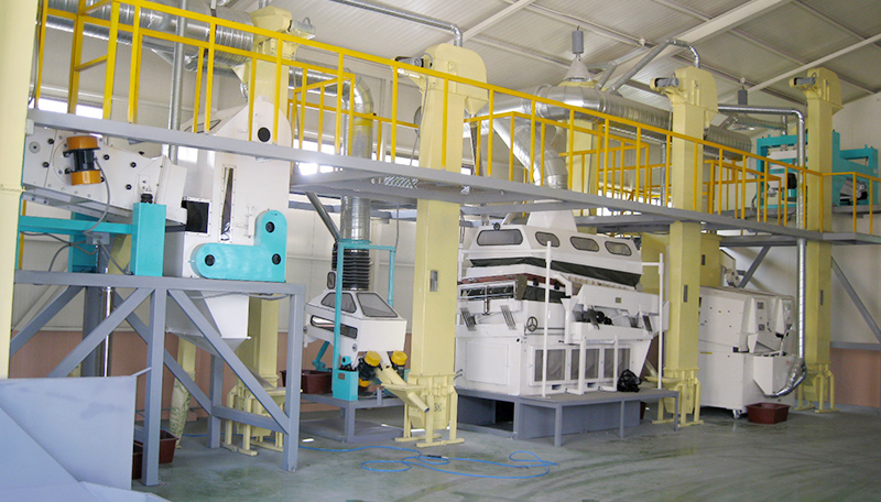 3TPH Beans Processing Plant to South Korea