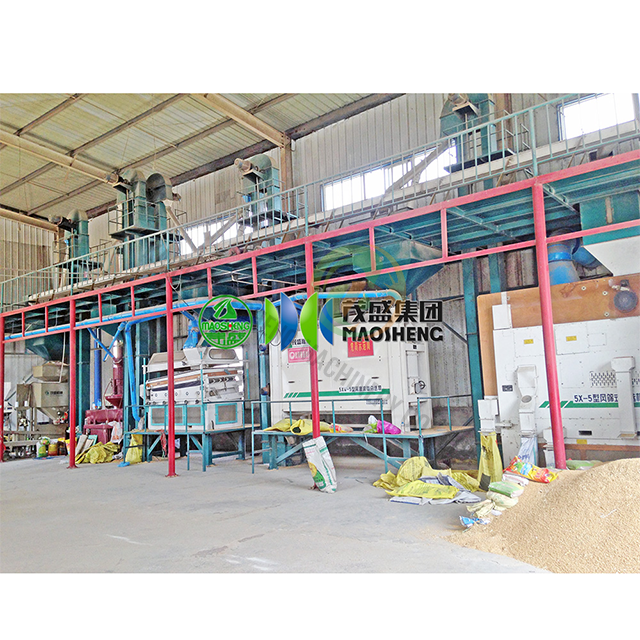 Wheat Seed Processing Plant
