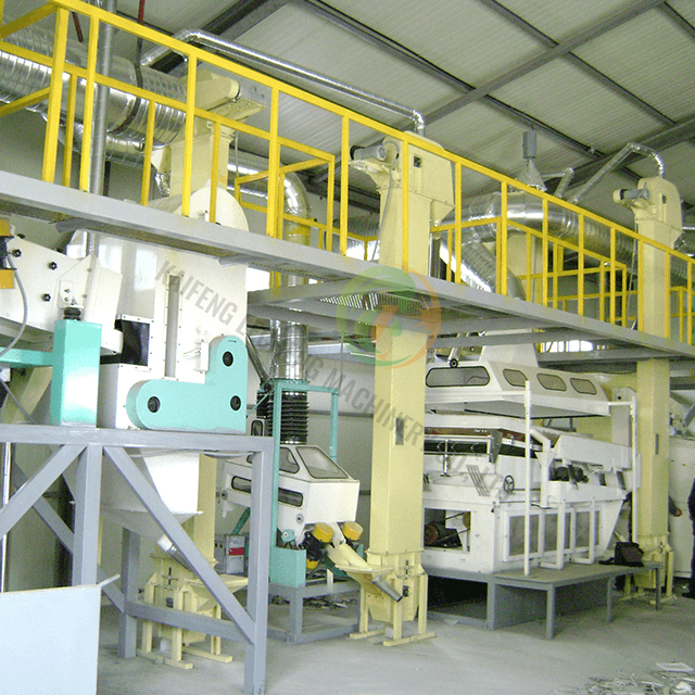 Beans Processing Plant