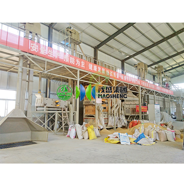 Seed Processing Plant Infrastructure